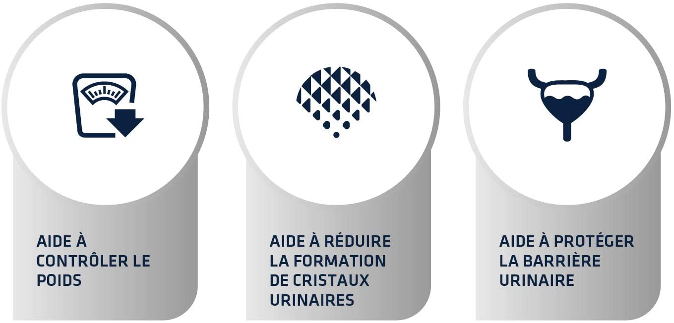 Advance Veterinary Diets Urinary Sterilized Low Calorie 1,25kg - Gatto Advance Veterinary Diets Urinary Sterilized Low Calorie 1,25kg - Gatto